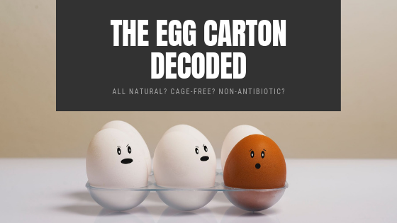 What the Cluck? The Egg Carton Decoded