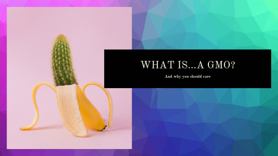 WTF Is a GMO? And Should You Be Freaking Out?